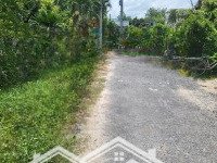 Bán Đất 2 Mặt Tiền Ấp Xóm Mía Xã Phước Trạch, Tây Ninh