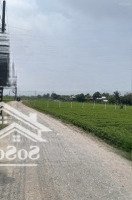 800 Triệuiệu 94M2 (4.5X21M) Đất Cạnh Vinhomes Hậu Nghĩa, Sổ Hồng Công Chứng Ngay