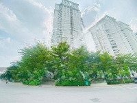 Bán Cc Tecco Garden, Tứ Hiệp, 5,3 Tỷ, 127M2, 4 Phòng Ngủ 3 Vệ Sinh Chính Chủ, Hot!