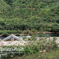 Cần Bán Lô Đất Sát Suối 3500M2 Có 300M2 Đất Ở Có Suối Có Đất Ở Làm Nhà Vườn Ở Khí Hậu Trong Lành