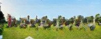 Lô Đất Làm Vườn View Suối Rất Đẹp Giá Rẻ 3500M2 Có Đất Ở Không Dính Qui Hoạch Cần Bán Ô Tô Tới Nơi