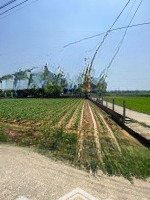 Bán Đất Tại Trường Sa, Duy Thành, Duy Xuyên, Quảng Nam, Giá Thỏa Thuận, 280M2