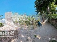 Bán Nhanh 87M2 Đất Ngõ 1 Phương Đồng, Xã Phụng Châu, Chương Mỹ Ngay Đh Sp Thể Dục Thể Thao