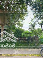 Cần Bán: Thanh Hóa Đường 10M5 Hướng Đông Bắc , Diện Tích: 100M