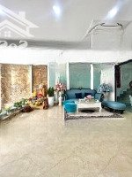 Chủ Định Cư Nước Ngoài Bán Gấp - Mp Đào Tấn - 7 Tầng Thang Máy - Giá Cực Rẻ - 48 Tỷ.