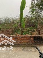 Chính Chủ Cần Bán Ô Đất Thôn Cẩm Đội - Thụy Vân 120,3M2. Đất Đẹp Nở Hậu, Ô Tô Dừng Dỗ Vào Nhà