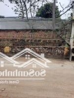 Rẻ Nhất Tân Xã Rồi Ạ!Giá Rẻ Của Siêu Phẩm Trục Chính Thôn 7 Tân Xã Ngay Đất Đấu Giá