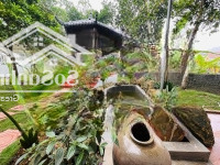 Bán Đất Tặng Nhà Đây Ạ! Khu Nhà Vườn Nghỉ Dưỡng Tại Hòa Lạc, Vừa Ở Vừa Đầu Tư Sinh Lời Quá Cao
