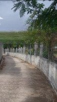 Tôi Bán 1005,7M2 Full Thổ Cư Lô 2 Nguyễn Đình Chiểu. Giá Bán Chỉ 15 Tỷ, Sổ Hồng Sẳn Công Chứng Ngay