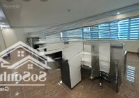 Cho Thuê Văn Phòng Vip. Mặt Phố Quận Thanh Xuân 100M Vuông