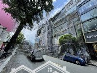 Hàng Hiếmmặt Tiềnnguyễn Đình Chiểu - Quận 1 (Ngang 8M - Xd 5 Tầng Tm - Hđt 140 Triệu/Th) - Bán Gấp 64 Tỷ