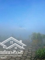 Bán Đất Ninh Gia, 650 Triệu, 144 M2, Pháp Lý Đầy Đủ, Giá Tốt, Uy Tín