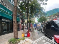 Hiếm Hoi! Bán Nhà Mặt Phố Nguyễn Thái Học - Vip Ba Đình - Mặt Tiền Đẹp - Kinh Doanh Sầm Uất 50M2 5T