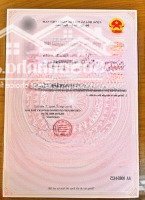 Cần Bán Gấp Nền Đất Mặt Tiền Nguyễn Đức Thiệu