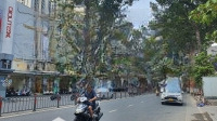 Siêu Hiếm - Bán Nhà Mặt Tiền Cư Xá Đô Thành Quận 3 -Diện Tích6.7M X 20M Cn: 152M2 - Giá Chỉ 39 Tỷ