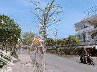 Bán Nhà 3 Tầng Mặt Tiền Tầm Vu - F26 - Bình Thạnh