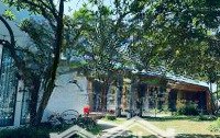 Hàng Hiếm Gần 1000M2 Nhà Vườn Ngay Trung Tâm Tp. Bảo Lộc Giá Tốt