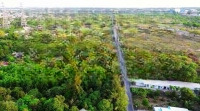 Chính Chủ Gửi Bán Lô Đất 1970M2 Mặt Đường Lý Thường Kiệt - An Phước - Long Thành Liên Hệ: 0943559175