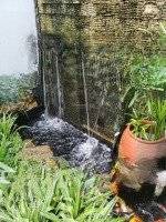 Biệt Thự Mini Lê Chân 3 Tầng, Tttp Nha Trang - Giá: 16,5 Tỷ