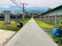 Bán Lô Đất 123,1M2 (6X20M) Có 114.1M2 Thổ 1/Đường Hồ Văn Tắng Vào Số 87 Tân Phú Trung Củ Chi, 1,7Tỷ