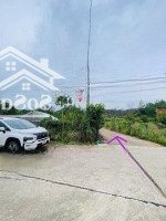 Đất Thị Trấn Đạ Tẻh 8*20M Full Đất Ở Đô Thị Mà Giá Chỉ 299 Triệu/Lô Đường Bê Tông Trước Đất