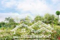 Chính Chủ Bán Biệt Thự Khoáng Onsen, View Tuyệt Đẹp. Giá Full Cả Nhà, Bao Phí!