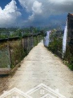 Cơ Hội Sở Hữu Đất Giá Tốt Gần Khu Công Nghiệp Thích Hợp An Cư & Đầu Tư