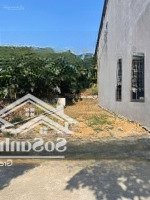 Chính Chủ Cần Bán Đất 109M Tân Xã