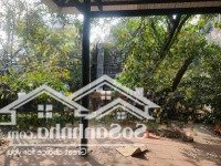 525M2 Full Thổ Đường 10M Ngang 10M Mặt Tiền Kinh Doanh 24Tỷ Nhỉnh Thương Lượng Chủ Nhiệt Bán