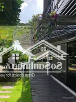 Căn Góc 2Mặt Tiềnnguyễn Thành Ý Q.1 Dt( 12.5 X 19M) Cn 239M 4 Tấm Giá Bán 142 Tỷ Tl