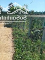 Chính Chủ Bán Lô Đất 3500M2, 450M2 Thổ Cư Xã Sông Hinh, Phú Yên, 600 Triệu