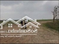 Siêu Hiếm Đất 10.000M2 Tại Phước Long B, Ngay Vinhome Grand Park