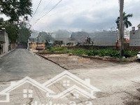 Bán Lô Góc - Nguyên Khê, Đông Anh | 2 Mặt Ngõ Ô Tô Tránh | Cách Lê Hữu Tựu 50M. Giá Bán 4,65 Tỷ