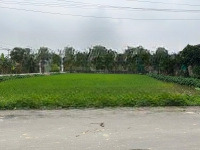 Bán Đất Thổ Cư Tại Thôn Yên Nghĩa, Thạch Hà, Hà Tĩnh, 1,5 Tỷ, 153 M2, View Đẹp Hot!