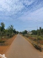 Bán 3 Lô Đất Full Thổ Cư Liền Kề Tại Thị Xã Buôn Hồ, Mặt Đường Nhựa 10M, Khu Bàn Cờ Dân Đông