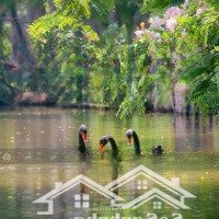 Chính Chủ Bán Căn Hộ 2 Phòng Ngủ - 58M2 S. Premium Sky Oasis - View Đảo - Tầng Trung