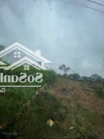 Chủ Cần Bán 326M2, 8M Mặt Tiền, Đất 2 Mặt Tiền , Tại Tiên Phong Ba Vì, Giá Cắt Lỗ
