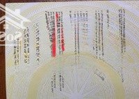 Đất Đẹp Nhà Bè, 500M Đến 3 Trường Đại Học, 100M Thổ Cư, Xe Hơi Ngủ Nhà, Chỉ 4 Tỷ