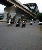 Thiếu Nữ. Lê Lợi, Tô Hiệu Hà Đông. 50 M2, 4 Tầng,Mặt Tiền6M, Chỉ 7,7 Tỷ. Ở Sướng, Cách Phố Ô Tô 20M.