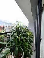 Tại Đây Em Nga Có Căn Hộ Giá Rẻ Không Có Đối Thủ - Mua Là Lời Căn 113M2 Toà N04