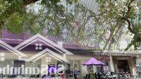 Bán Gấp Nhà Mặt Phố Hàng Vải 98M2, Mặt Tiền 14M, 5 Tầng, Thang Máy Nhập Khẩu. Kinh Doanh Sầm Uất