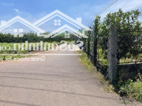 Cần Bán Gấp Lô Đất Dh507 Xã An Linh Phú Giáo Binh Dương