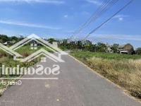 Cần Bán Gấp Lô Đất Dh507 Xã An Linh Phú Giáo Binh Dương