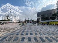 Bán Lô Tđc Cây Lim 96M2 - Giá Bằng Đất Ngõ