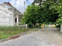 Bán Lô Tđc Cây Lim 96M2 - Giá Bằng Đất Ngõ