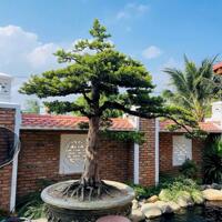 Bán villa gỗ hồ bơi .... Nha trang chỉ 18,5 tỷ