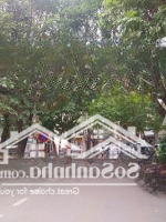 {Hot Hot} Bán Nhà Khuất Duy Tiến,Dân Xây,Phân Lô,Ô Tô Đỗ Cửa,Diện Tích40M2Mặt Tiền4.2 Nhỉnh 15 Tỷ.