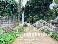 Chính Chủ Bán Gấp Lô Góc Cư Yên, Thế Đất Cao, Đường Betong, Gần Nhiều Homestay, Giá Chỉ 3,Xtr/M2