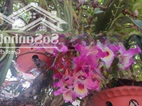 Bán Đất Gần Đường Tránh Đông Dương Gần Khu Công Nghiệp Lương Sơndiện Tích480M