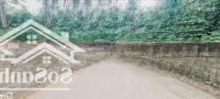 Hàng Hiếm Lô Góc, Mặt Tiền Hơn 20M - Dành Cho Ai Cần Đất Làm Kho Xưởng - Bán Nhanh Giảm Nửa Giá